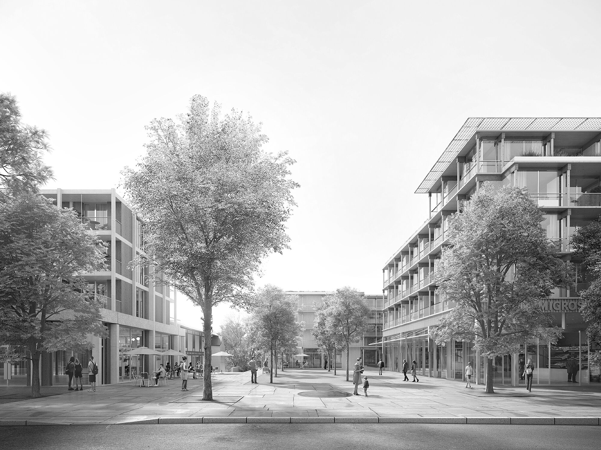 343 Zofingen Web 1