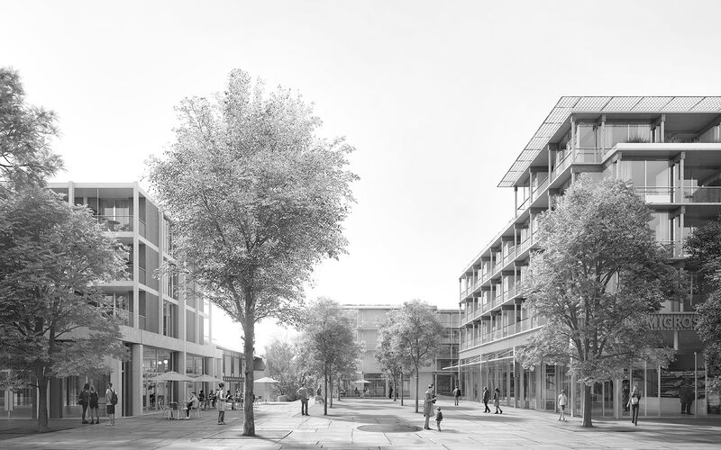343 Zofingen Web 1